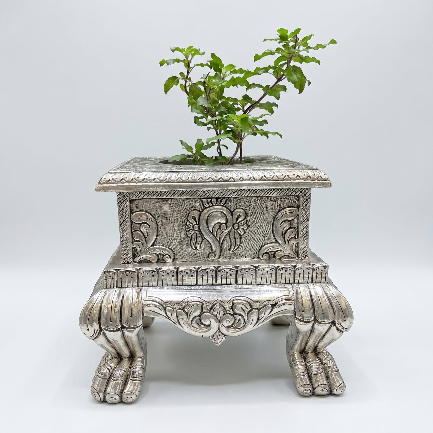 Silver Wood Tulsi Pot