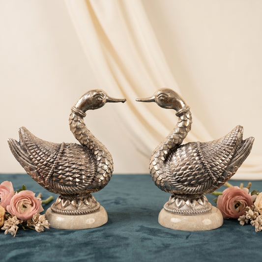 Silver Swan Pair