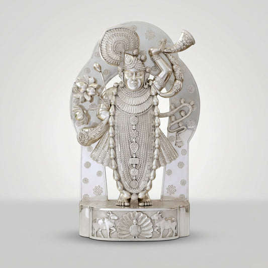 Silver Shrinathji Idol